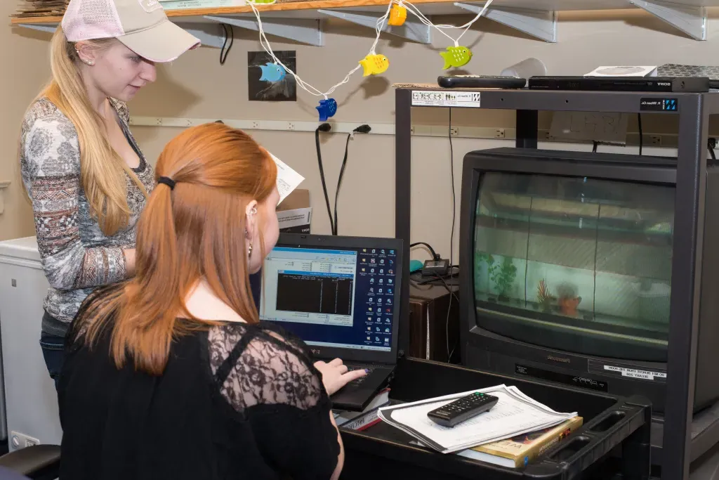 Two U N E students observes a fish's behavior via a video feed