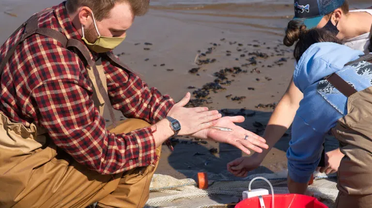 Marine Science students on the beach