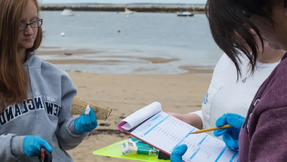 Students at a beach cleanup