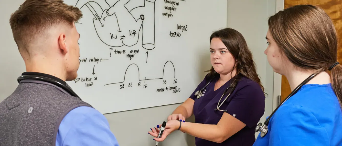 Three P A students review a cardiac sounds diagram on a whiteboard